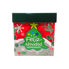 Caja de Regalo Navideña 20x20 cm