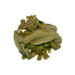 Hoja de guayaba - 30 g