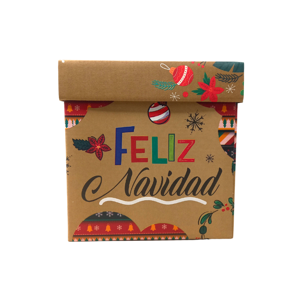 Caja de Regalo Navideña 20x20 cm