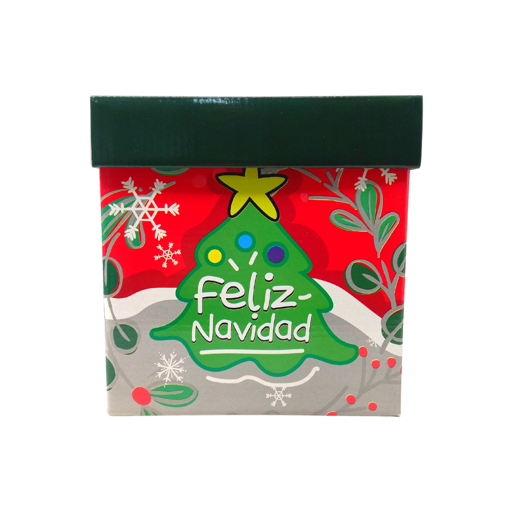 Caja de Regalo Navideña 20x20 cm