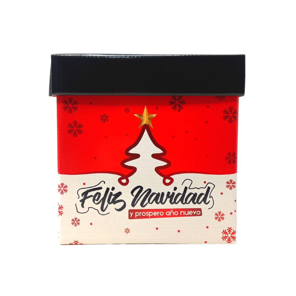 Caja de Regalo Navideña 20x20 cm