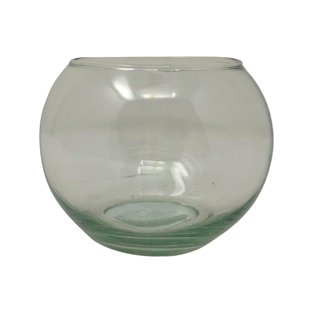 Pecera cristal #4
