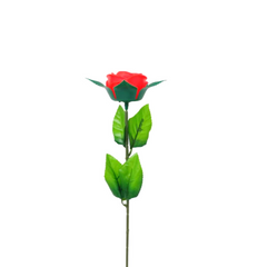Rosa con luz